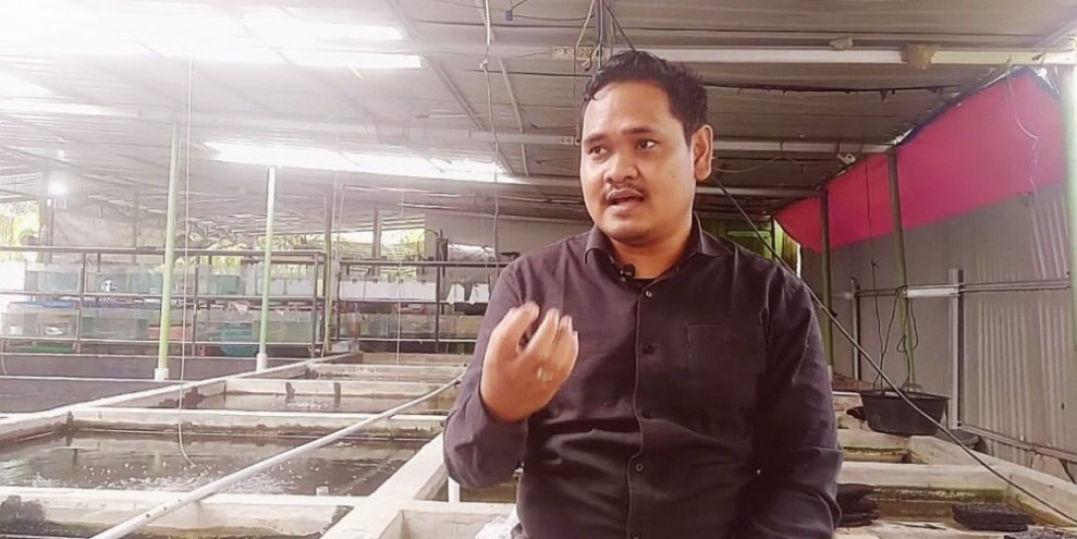 Peluang Bisnis Ikan Hias di Pekanbaru