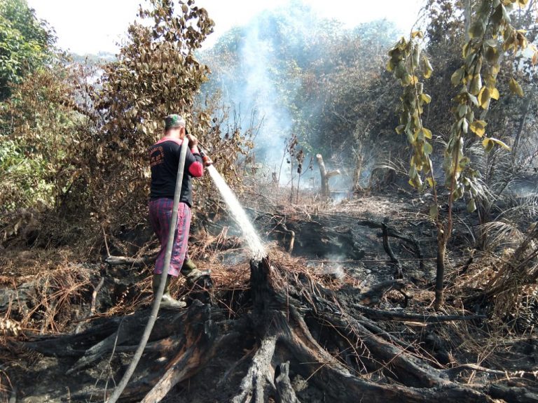 Pemprov Riau Klaim Kebakaran Hutan di Riau Turun 71%