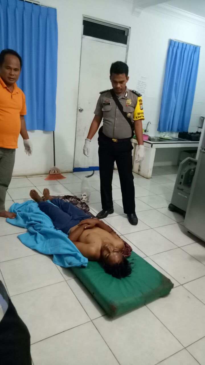 Tak Kunjung Tertangkap, Harimau Kembali Makan Korban