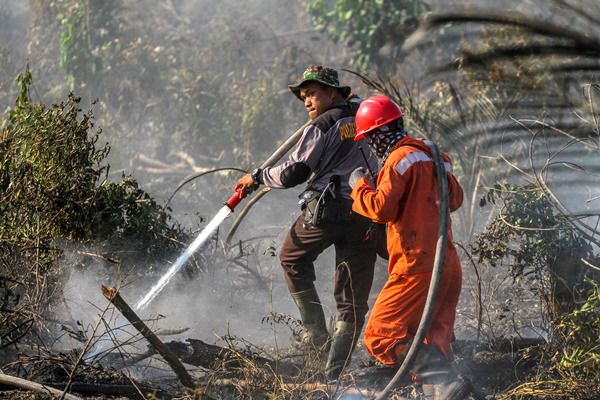 2.203 Hotspot Kepung Sumatra, Karhutla Kembali Terjadi di Riau