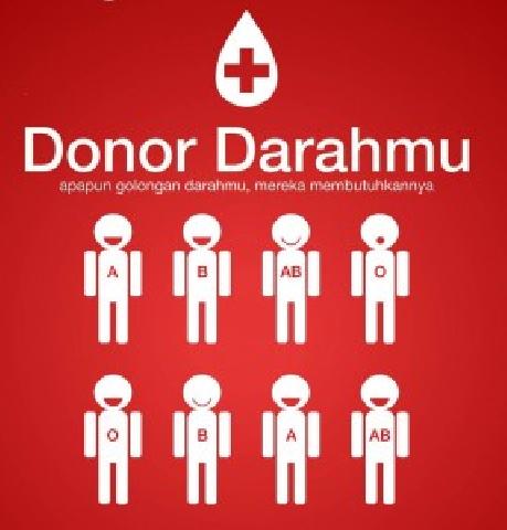 Begadang Tidak Boleh Ikut Donor Darah