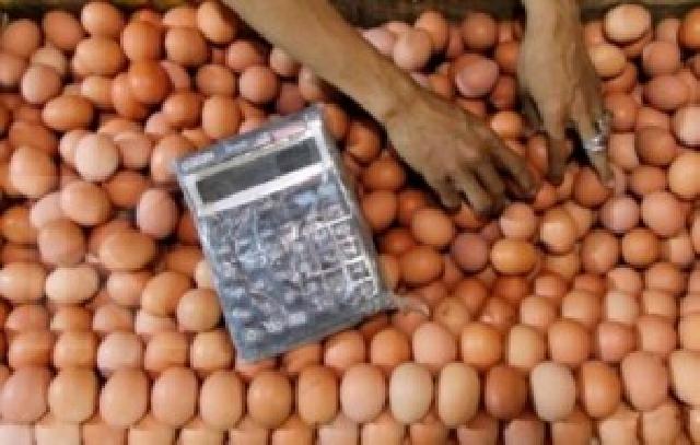 Sambut Tahun Baru 2017 Harga Telur di Pekanbaru Terus Meroket