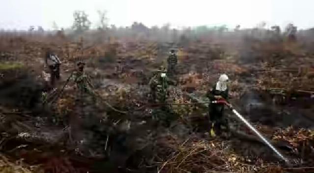 Semangat Hidup Warga Riau Dikepung Kebakaran Hutan dan Asap