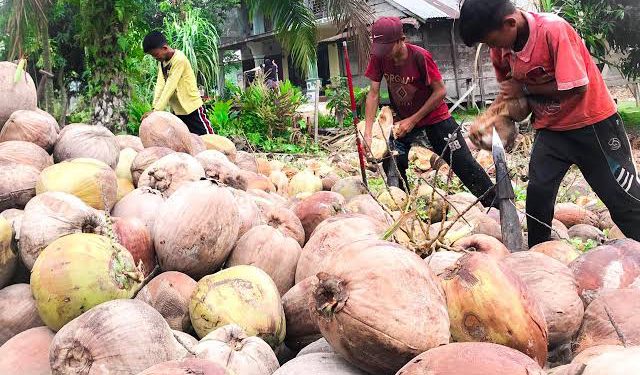 BPS Riau Sebut Nilai Tukar Petani Membaik, Benarkah?
