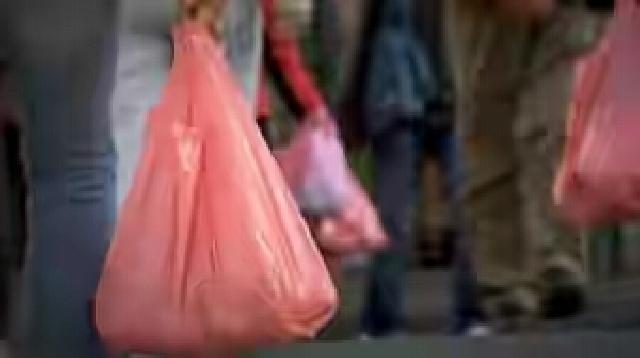 Perwako Larangan Kantong Plastik, Syamsuir: Belum Ada di Meja Saya