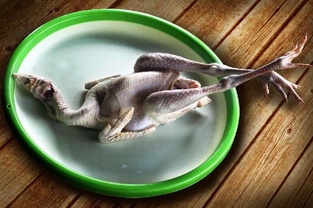 Jangan Sampai Tertipu, Berikut Ini Cara Bedakan Ayam Kampung Atau Bukan