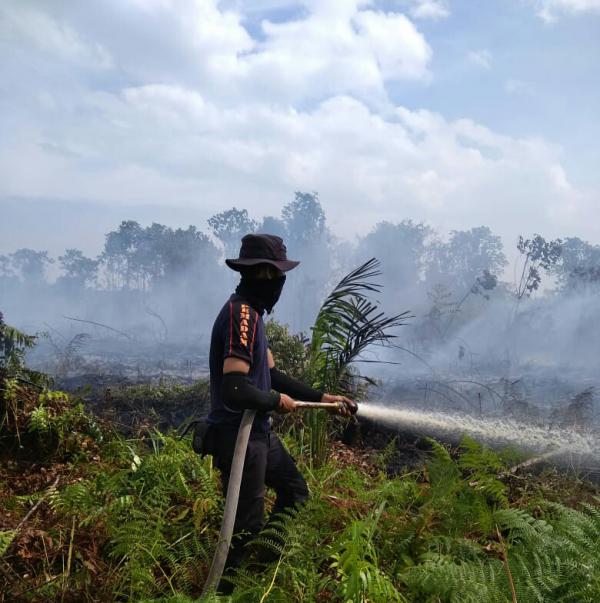 15 Hektar Lahan Di Bengkalis Terbakar