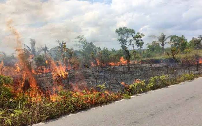 Kebakaran Lahan PT Arara Abadi di Pelalawan, Kejati Riau Belum Terima SPDP