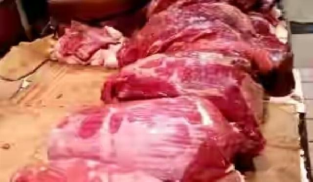 Jelang Ramadan, Distanak Pekanbaru Jamin Stok Daging Segar