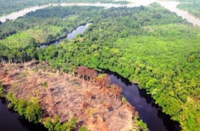 Kado Awal Tahun Untuk Lingkungan di Riau, Pelawanan Publik Lebih Sistematis