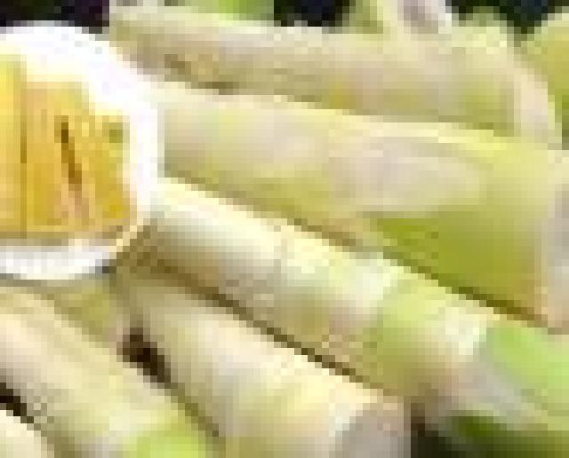 Cara Ampuh Menurunkan Tekanan Darah Tinggi Dengan Rebung