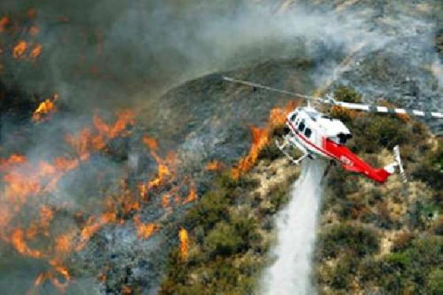 Ini Nama-nama Perusahaan Pembakar Hutan dan Sanksi yang diberi Pemerintah