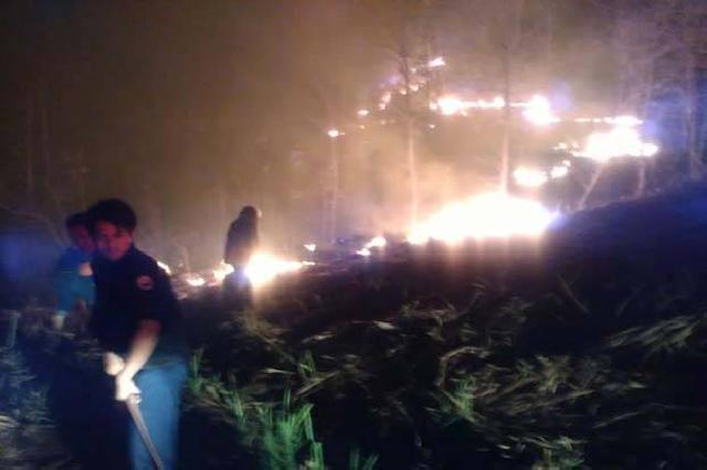 Kebakaran Hutan di Riau,  Kodam Bukit Barisan Turun Tangan