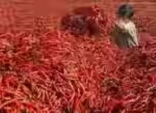 Ini Saran Ekonom Untuk Tekan Harga Cabai