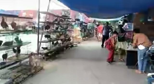 Pasar Burung Pekanbaru, Tak Hanya Jual Burung