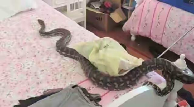 Kenyataan Yang Membuat Heboh, Seorang Wanita Berubah Menjadi Setelah Melakukan Hubungan Badan