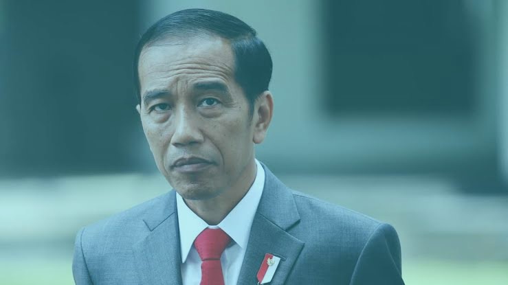 Presiden RI Pinta Para Gubernur Kebut Realisasi APBD