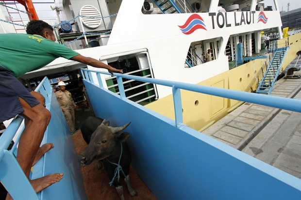 Iduladha Ini, Hanya Warga Zona Hijau dan Kuning Boleh Sembelih Hewan Kurban Sendiri