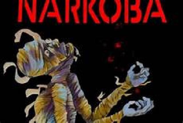 Dinkes Inhil Himbau Masyarakat Agar Jauhi Narkoba, Ini Bahayanya