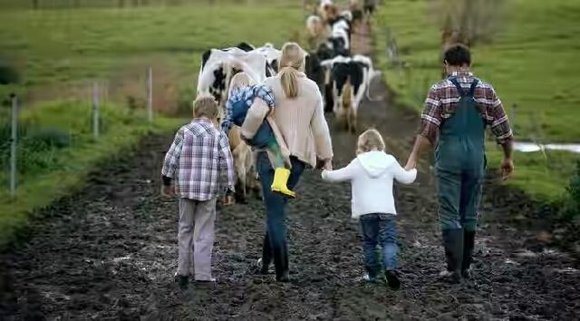 Ini Alasan Kenapa Anak-anak yang Tinggal di Area Peternakan Jarang Alergi