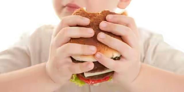 Diet yang Dianjurkan untuk Anak Obesitas