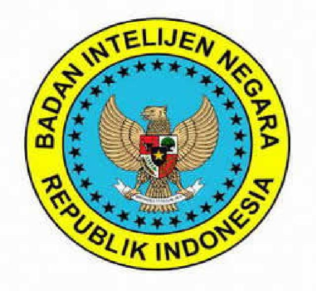 DPR Kritik Kerja Badan Intelijen Negara