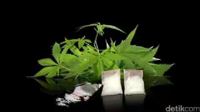 Amerika Serikat Tegaskan Larangan Penggunaan Ganja untuk Kepentingan Medis