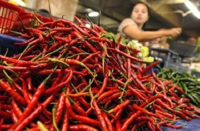 Harga Cabe Merah Melambung Tinggi, Disperindag Ngadu ke Provinsi