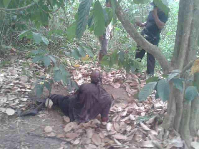 Buru Babi, Pria di Inhil Temukan Mayat Tergantung