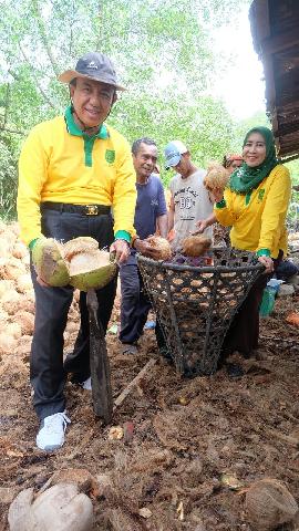 Angkat Potensi Kelapa, Bupati Inhil Lakukan Hal Ini