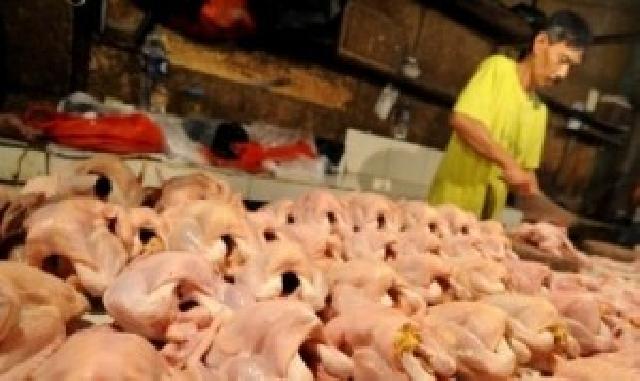 Harga Ayam Potong di Pasar Masih Tinggi