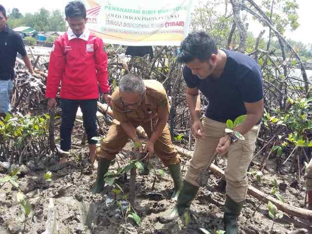 TIDAR Pusat Melaksanakan Penanaman 10.000 Bibit Mangrove di Indragiri Hilir