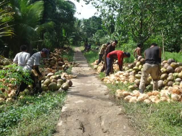 Petani Sebut Pemkab Seperti Kelapa Lupa Sabut