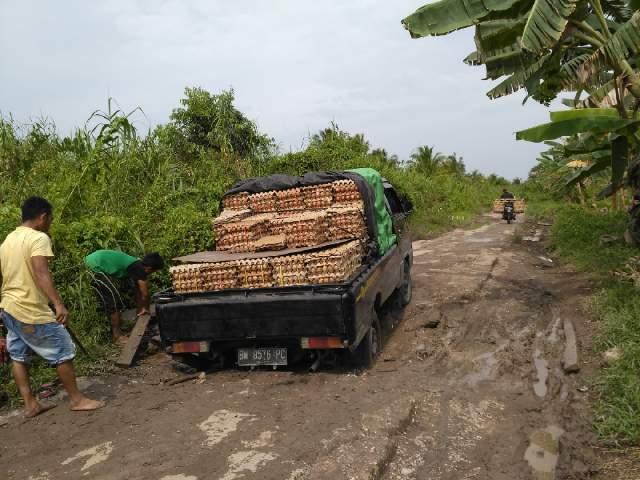 Terkait 8 Paket Proyek, Bupati Inhil Kembali Bohongi Masyarakatnya