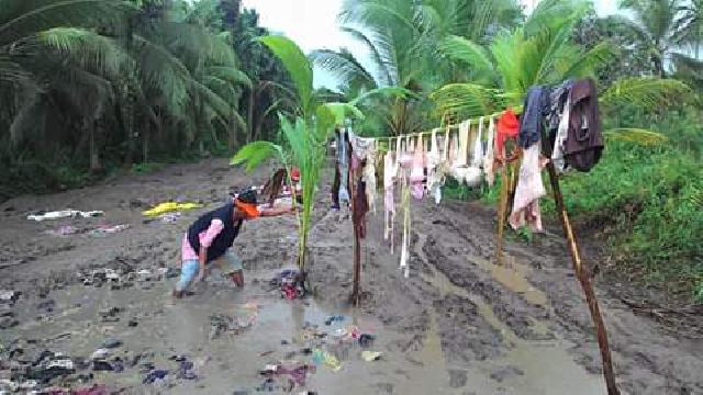 Waduh, Jalan Teluk Pinang Bermaterial Batang Kelapa?
