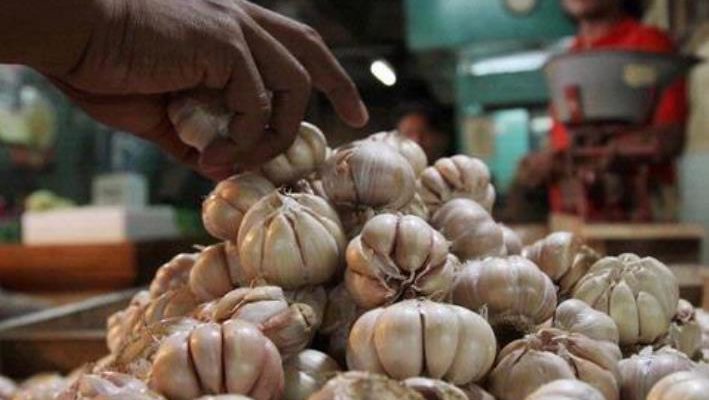 Riau Diperkirakan Inflasi Pada Februari Akibat Harga Bawang Putih Naik