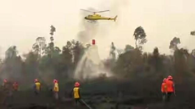 Kebakaran Hutan serta Lahan di Provinsi Riau Perlu Respon Cepat Pemerintah Daerah