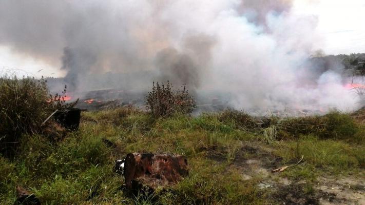 Petani di Riau Ditangkap Karena Bakar Lahan